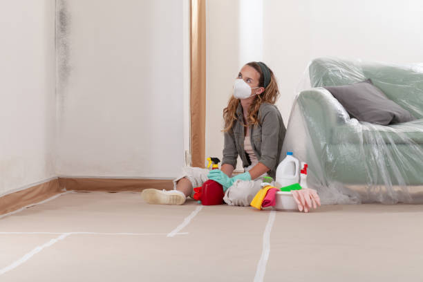 Reliable Mold Remediation contractor in Arlington, NY by 24 Hour Mold Removal